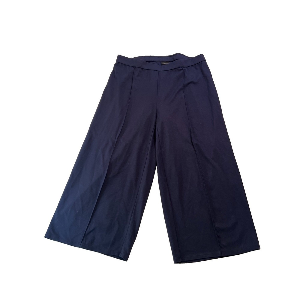 J. Jill Wearever Pants Navy Blue Wide Leg Crop Stretch XL